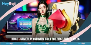 Bingo - Gameplay Overview Built For First-Time Players