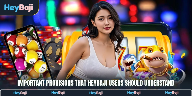 Important provisions that HeyBaji users should understand