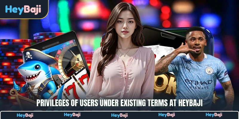 Privileges of users under existing terms at HeyBaji